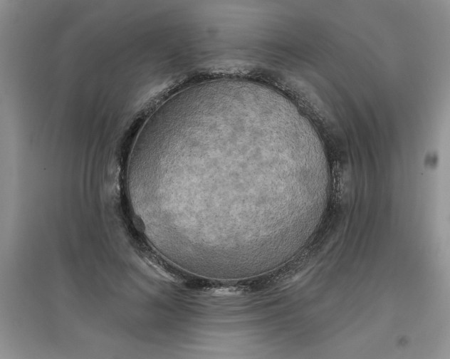 X0000097610692200803141939