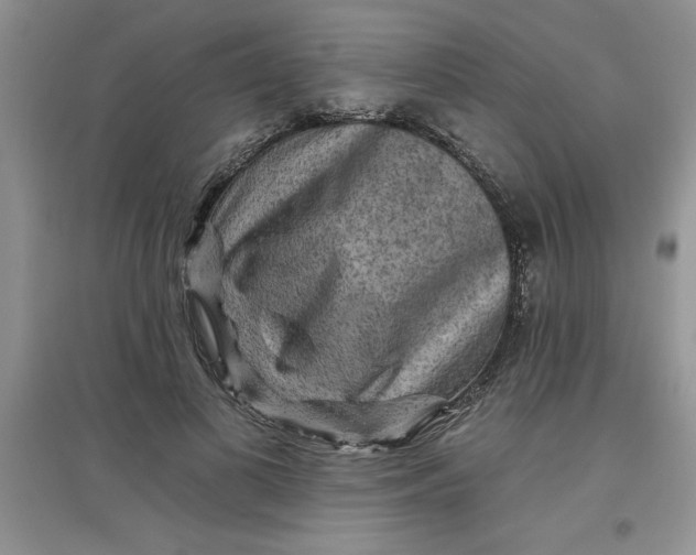 X0000097610693200803141939