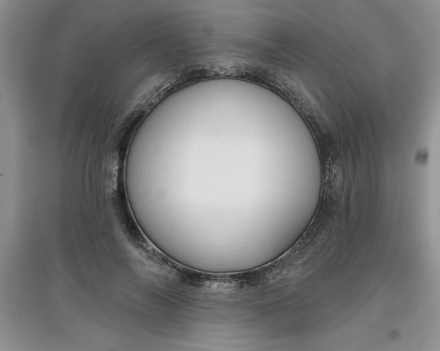 X0000097610694200803141939