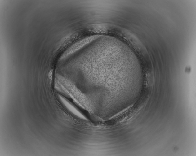 X0000097610697200803141939