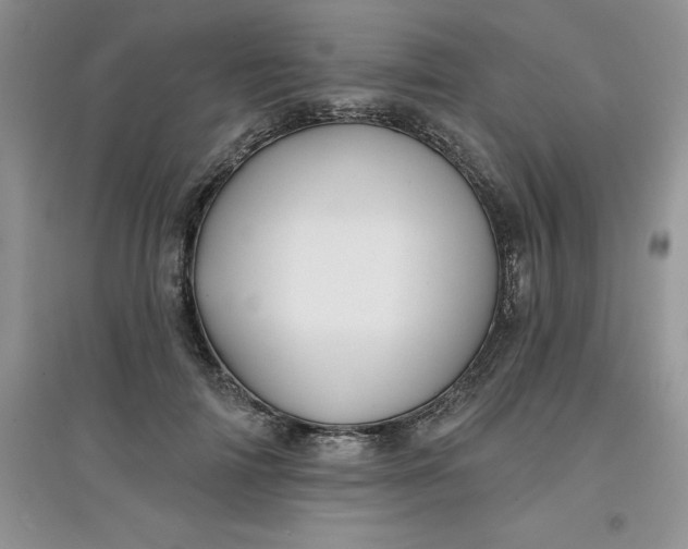 X0000097610698200803141939