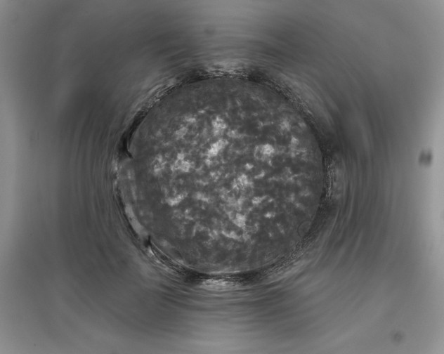 X0000097610699200803141939