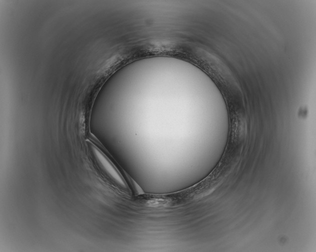 X0000097610700200803141939