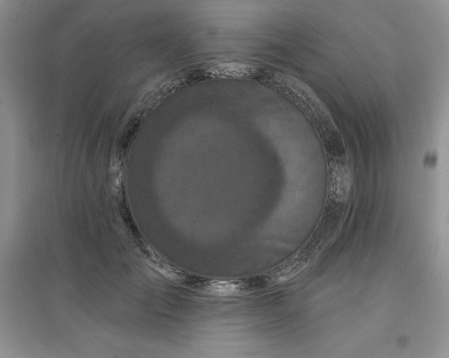 X0000097610701200803141939