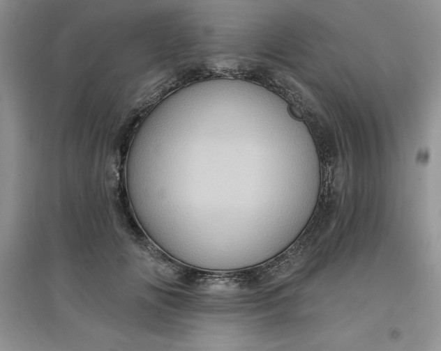 X0000097610702200803141939