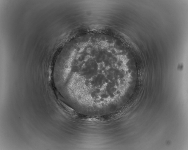 X0000097610703200803141939