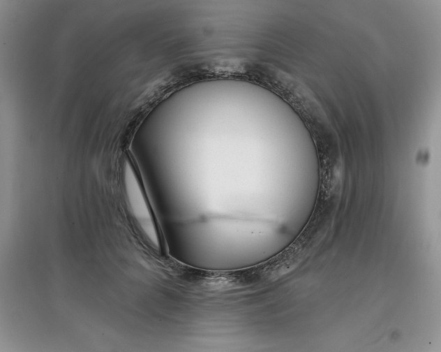 X0000097610704200803141939