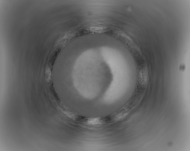 X0000097610705200803141939