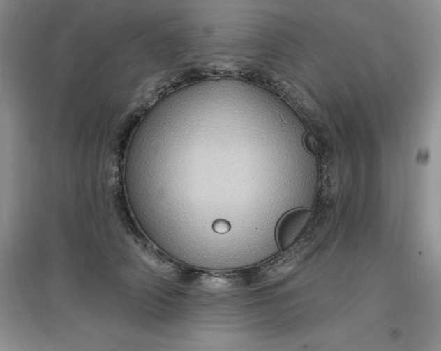 X0000097610706200803141939