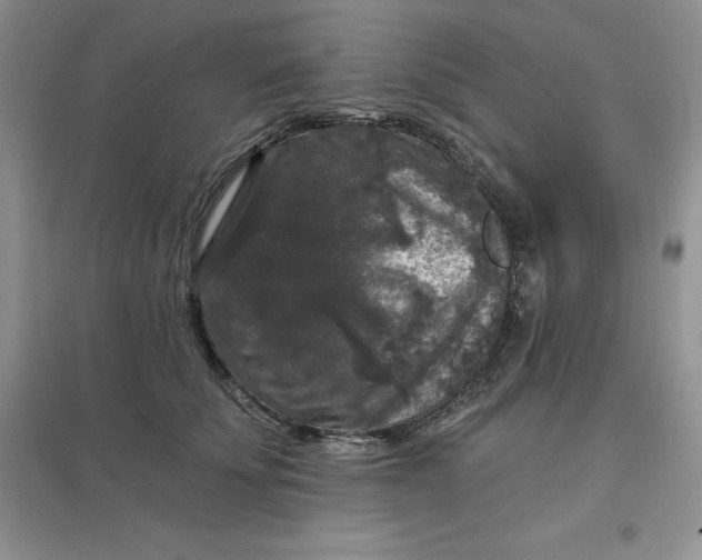 X0000097610707200803141939