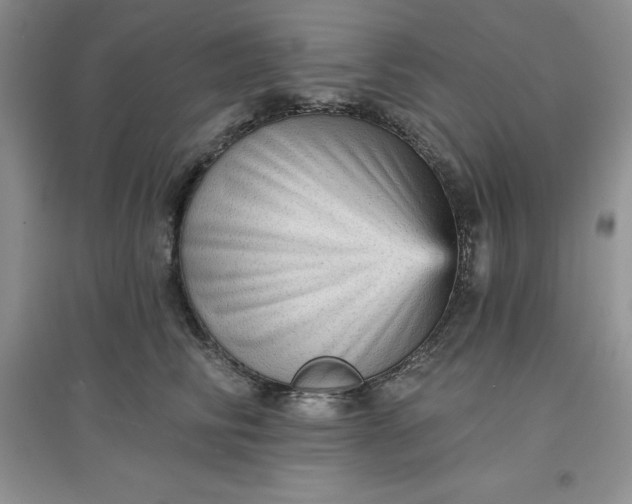 X0000097610710200803141939