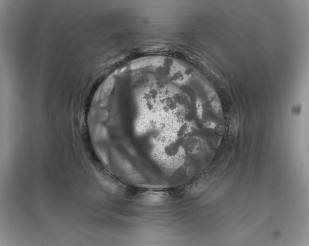 X0000097610711200803141939