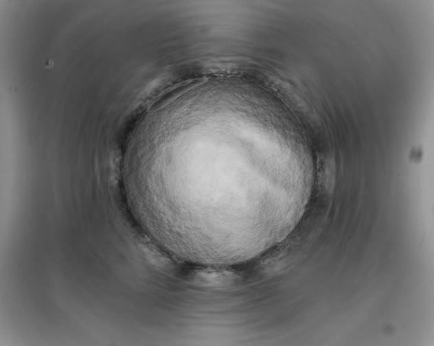 X0000097610712200803141939