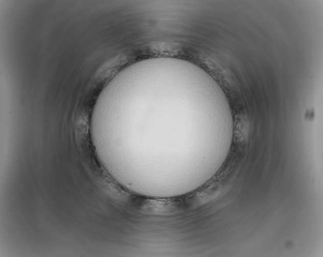 X0000097610713200803141939