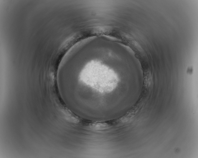 X0000097610716200803141939