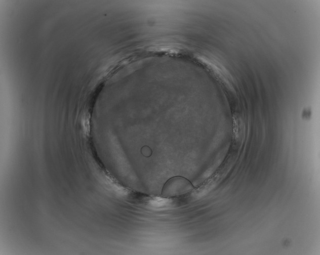 X0000097610718200803141939