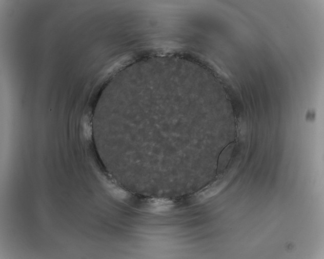 X0000097610719200803141939