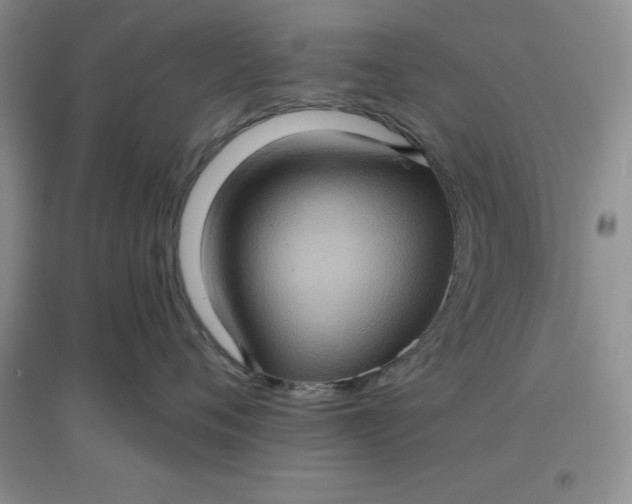 X0000097610720200803141939