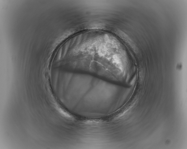 X0000097610721200803141938