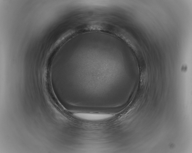 X0000097610722200803141938