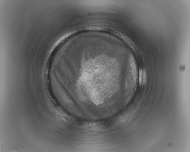 X0000097610723200803141938