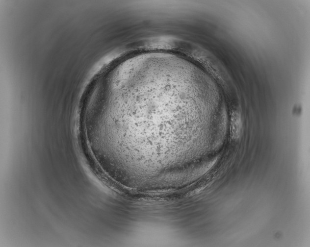 X0000097610726200803141938