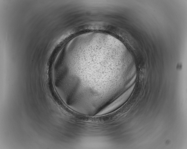 X0000097610727200803141938