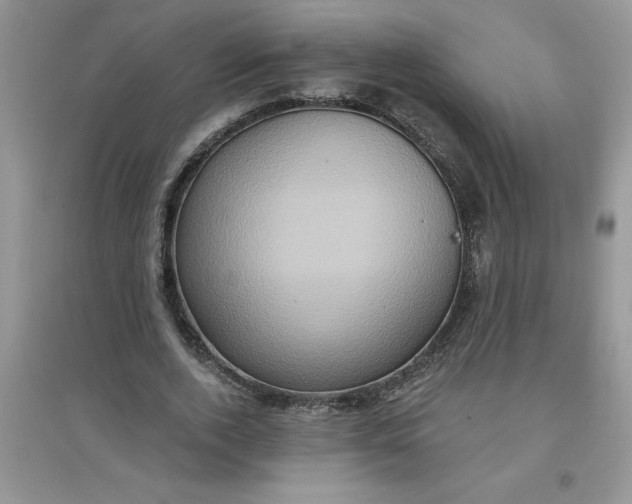 X0000097610728200803141938