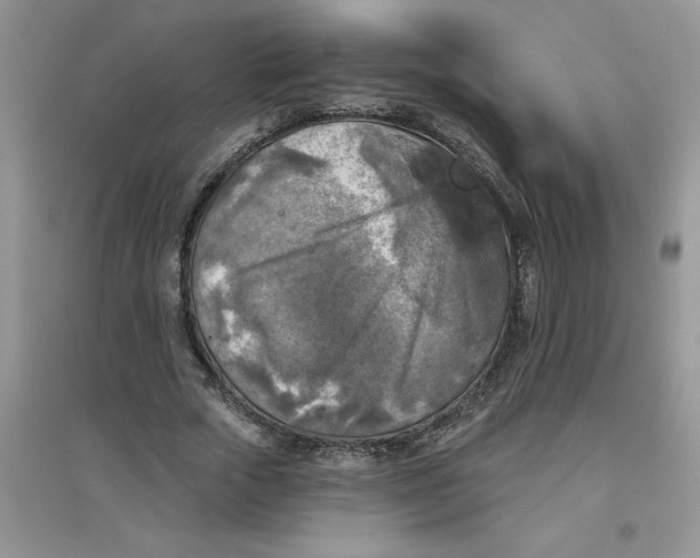 X0000097610729200803141938