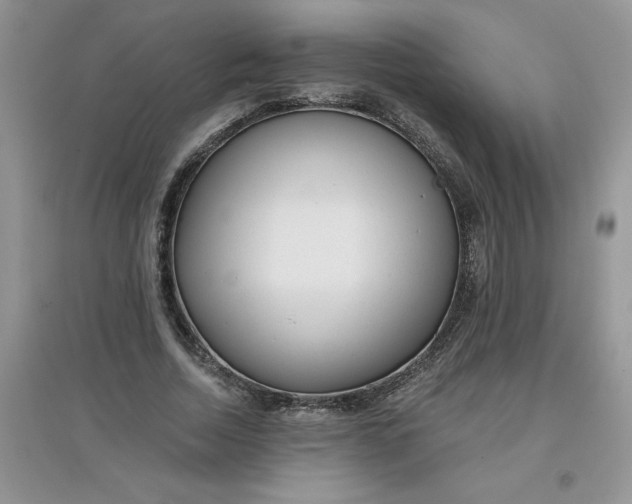 X0000097610730200803141938