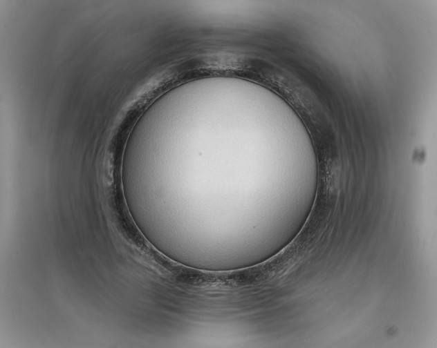 X0000097610731200803141938