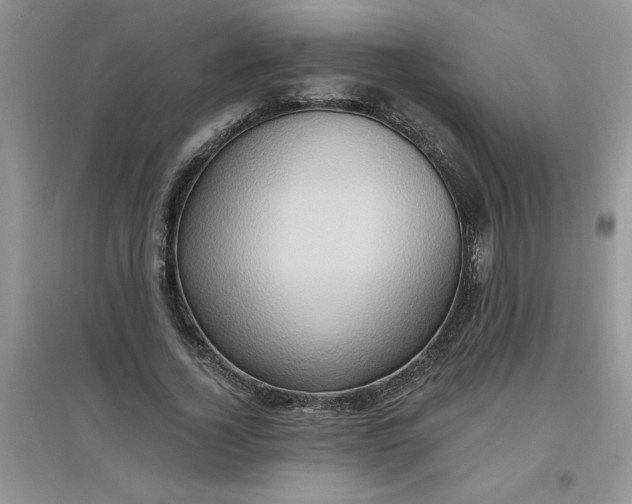 X0000097610732200803141938