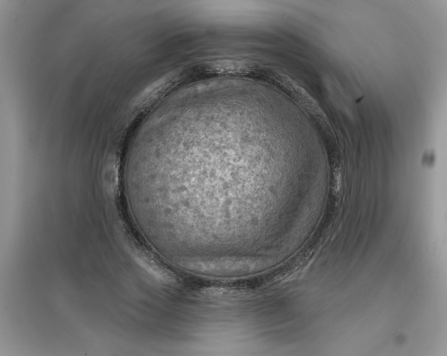 X0000097610733200803141938