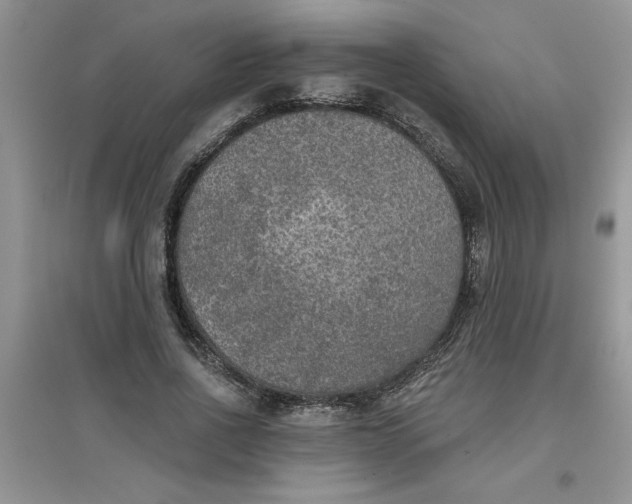 X0000097610734200803141939