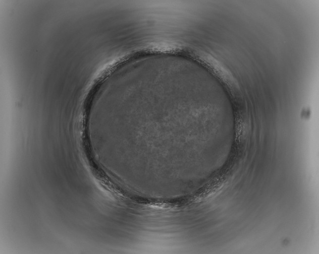 X0000097610736200803141939