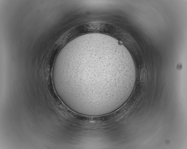 X0000097610737200803141939