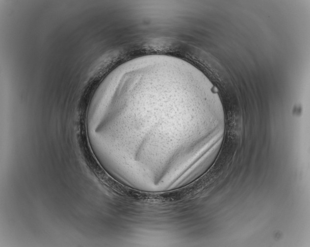 X0000097610738200803141939