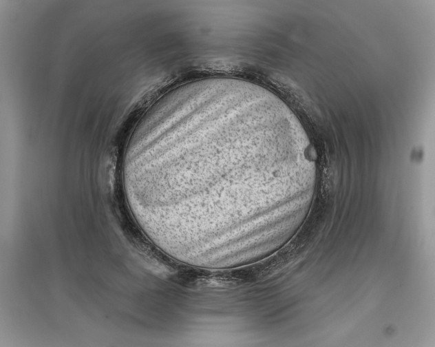 X0000097610739200803141939