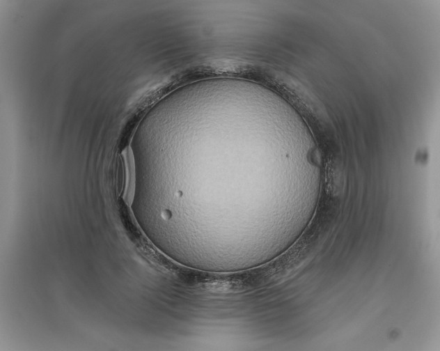 X0000097610740200803141939