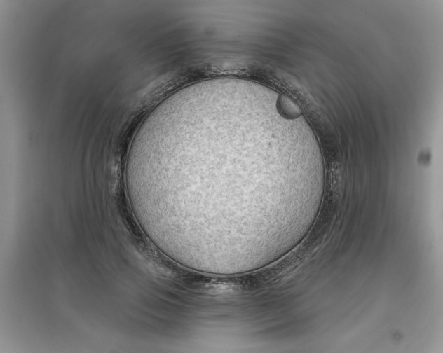 X0000097610741200803141939