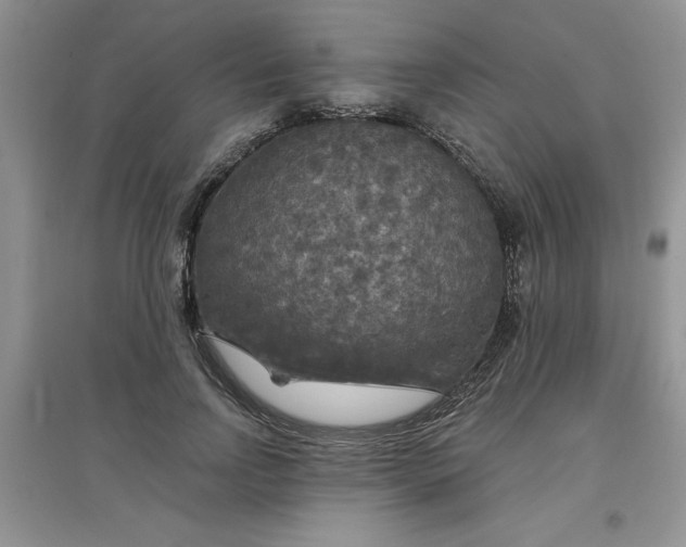 X0000097610742200803141939