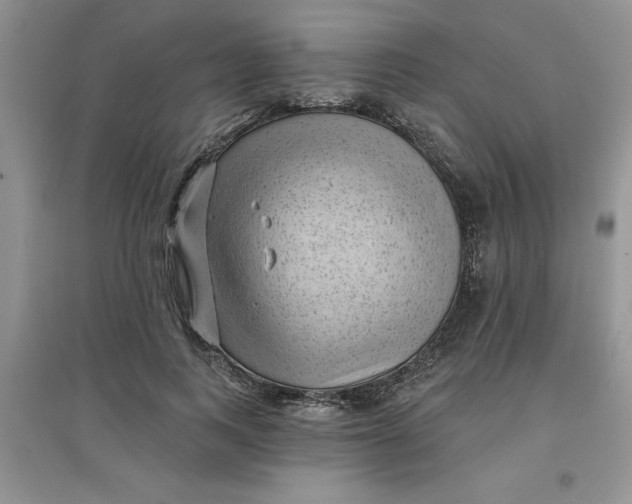 X0000097610743200803141939