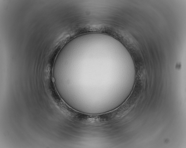 X0000097610744200803141939