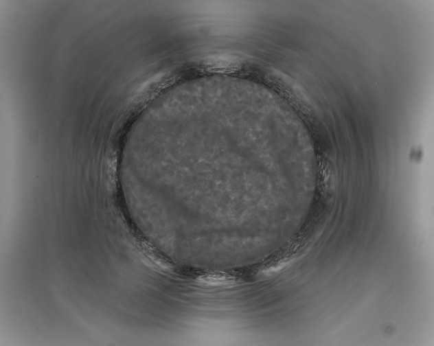 X0000097610745200803141939