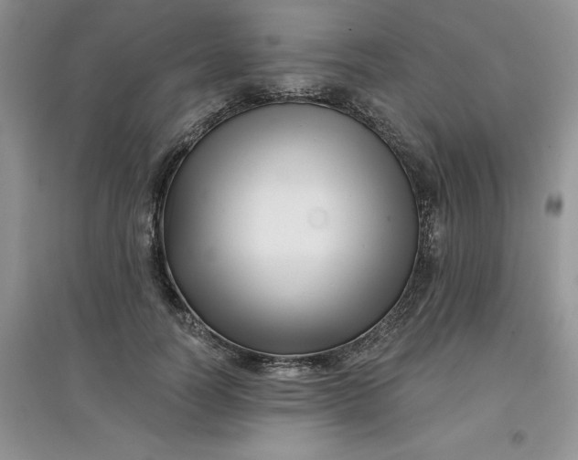 X0000097610746200803141939