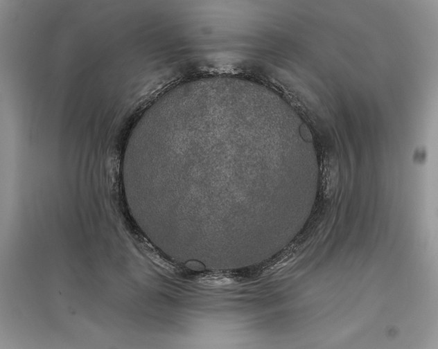 X0000097610747200803141939