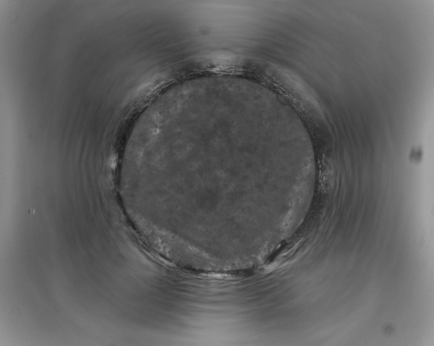 X0000097610748200803141939