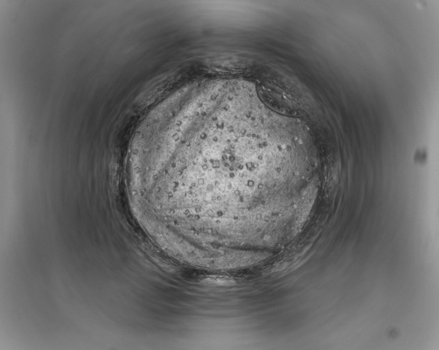 X0000097610749200803141939