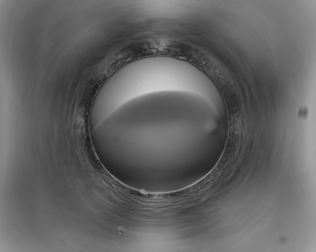 X0000097610754200803141939