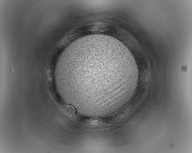 X0000097610755200803141939